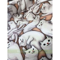 Велюр Kotofey-02
